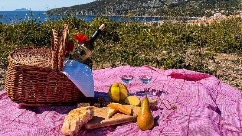 Picnic